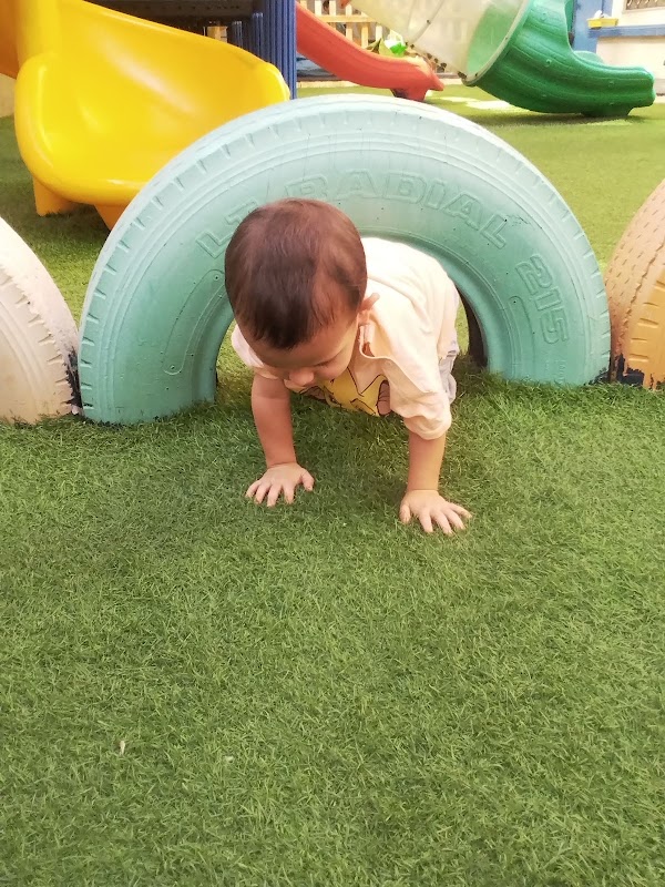 Al Barashi Nursery