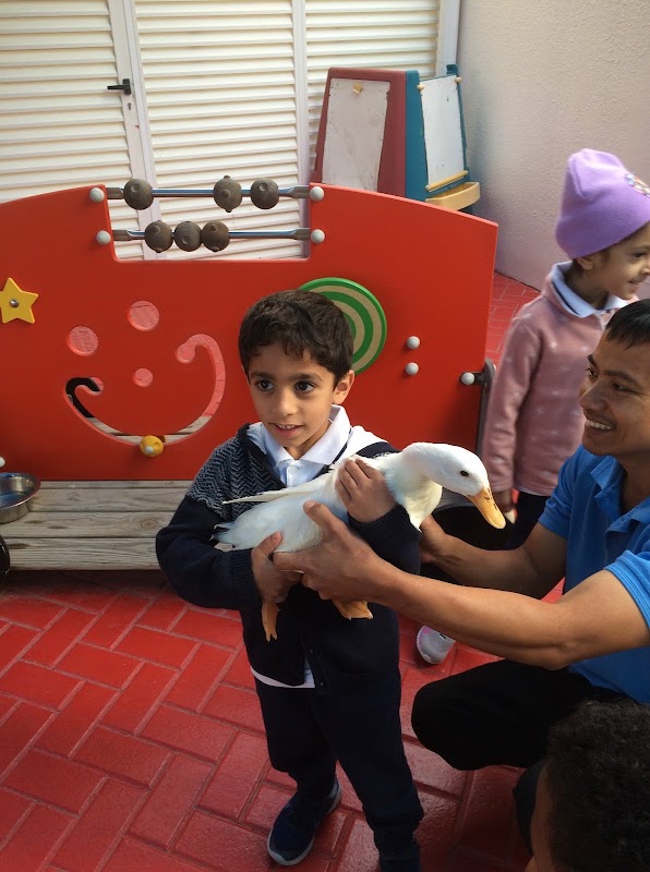Safa Early Learning Centre