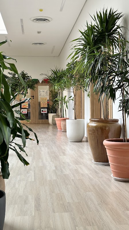 Kuwait Reggio Center