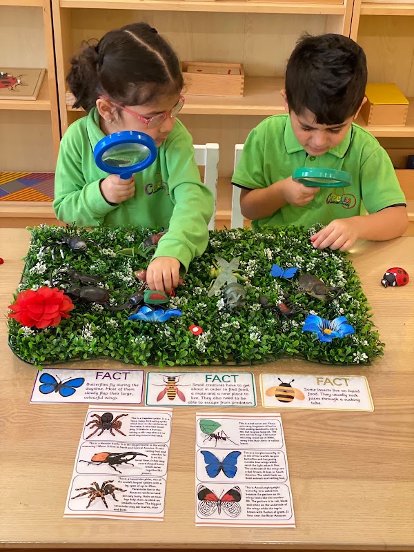 Circles Montessori Nursery - Mishref