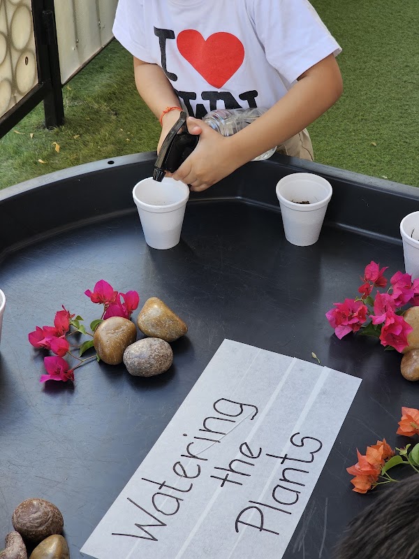 Roots Montessori Nursery IMPZ