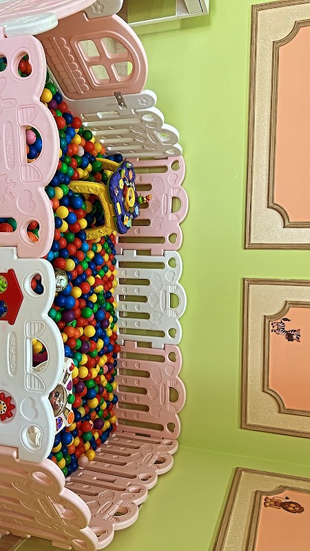 أكاديمية نيو سكيلز