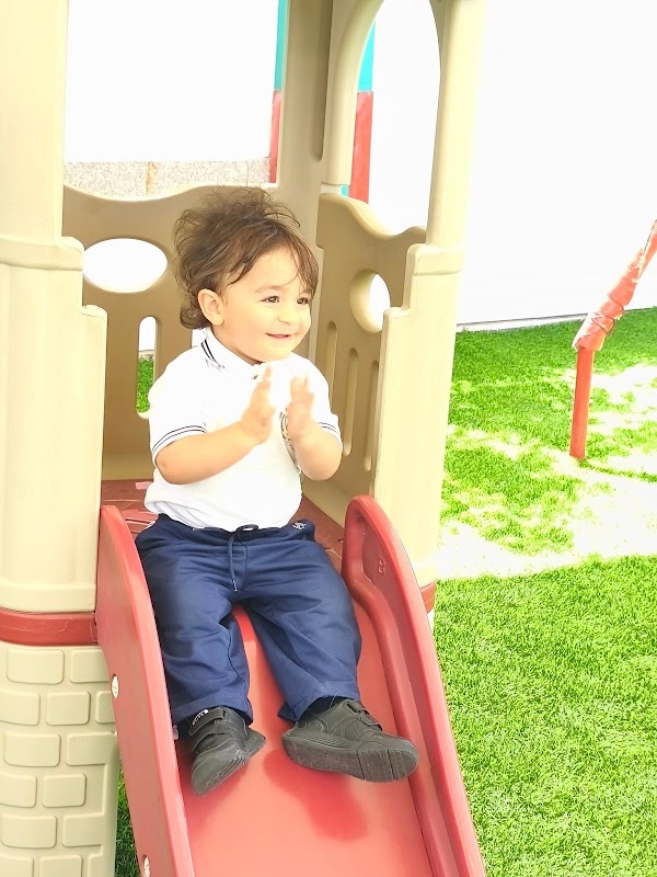 Saar Nursery