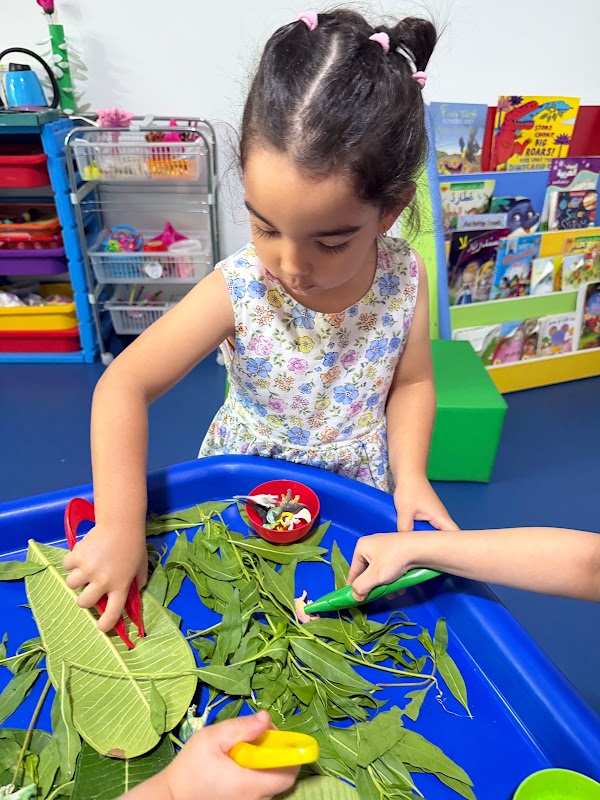 Pioneer Children Nursery