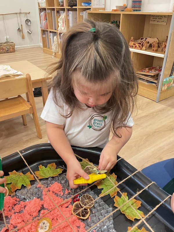 Green Grass Nursery - Nursery Near Al Manara, Dubai