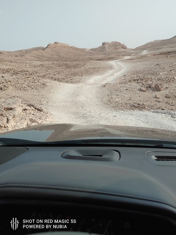 مدارس الجيل الواعد. ( رياض أطفال/ ابتدائي ) وطني ، عالمي