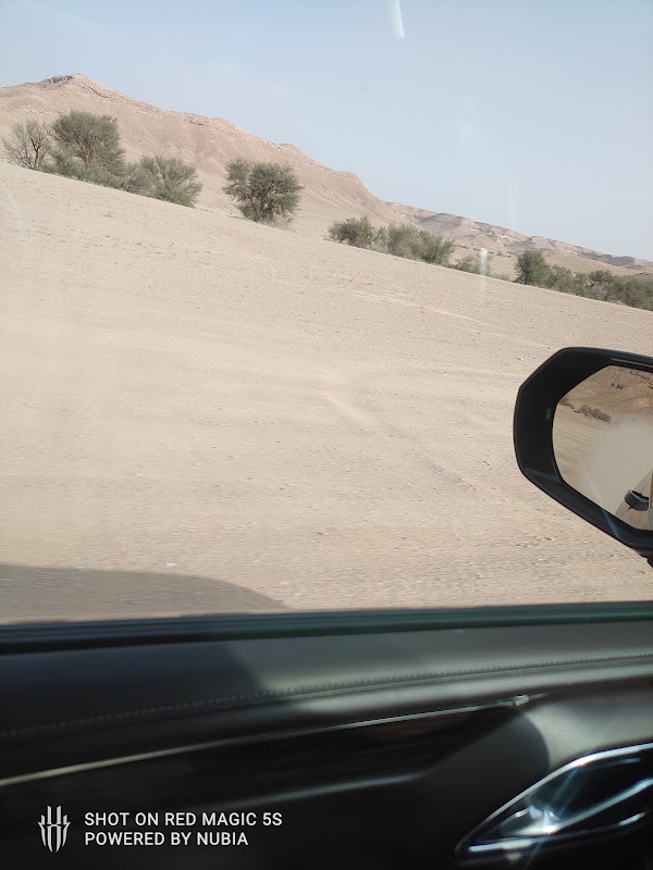 مدارس الجيل الواعد. ( رياض أطفال/ ابتدائي ) وطني ، عالمي