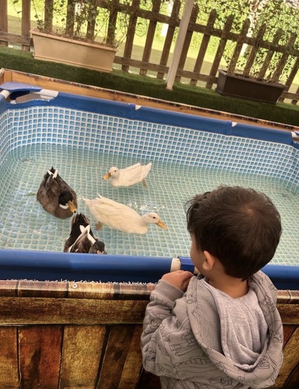 سبعة صباحًا لضيافة الاطفال المونسية
