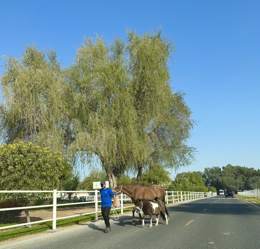 Jebel Ali Village Early Childhood Centre - Dubai Polo And Equestrian Club Br.