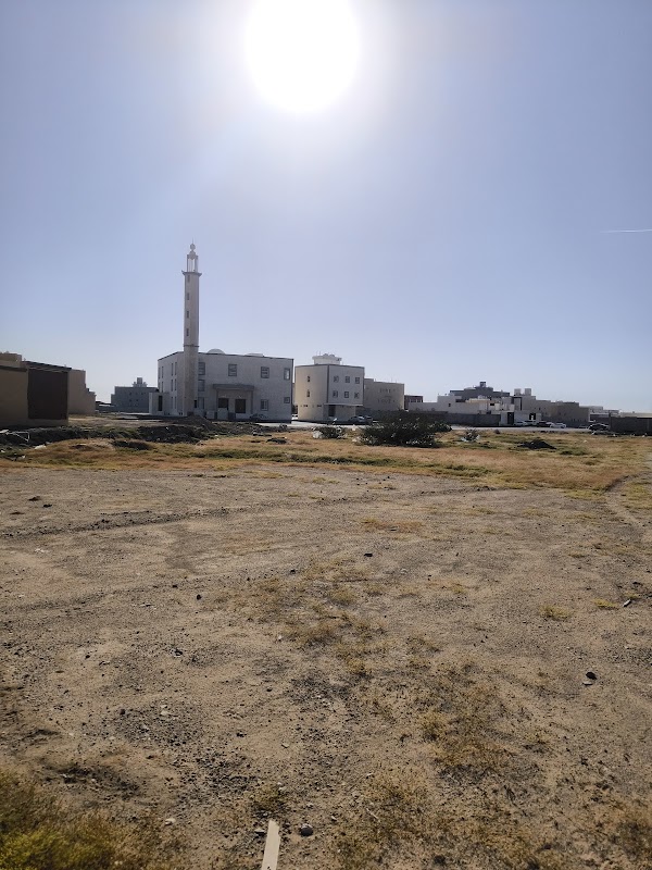 مدرسة العقول الذكيه