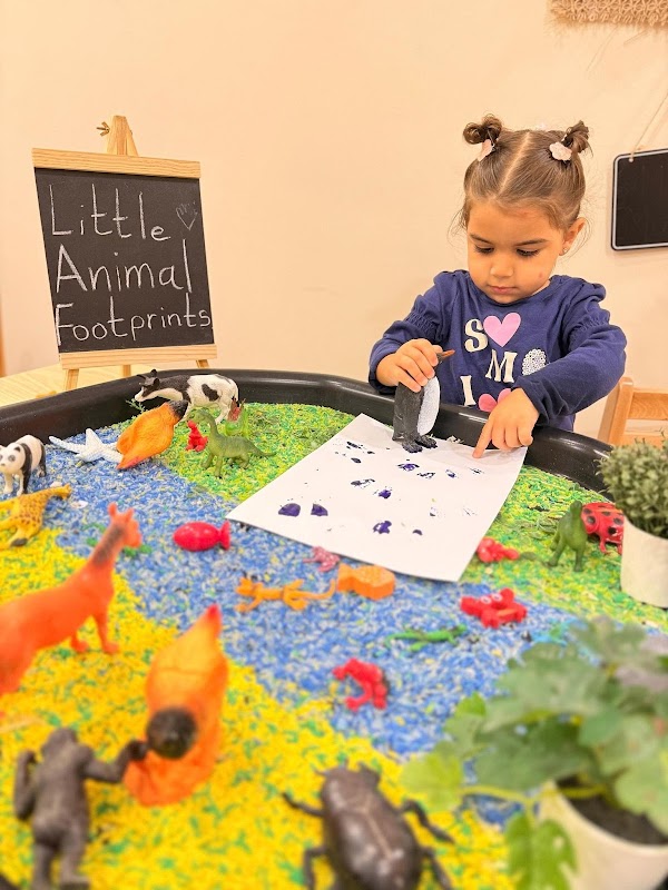 Toddlers International Nursery Majan Branch