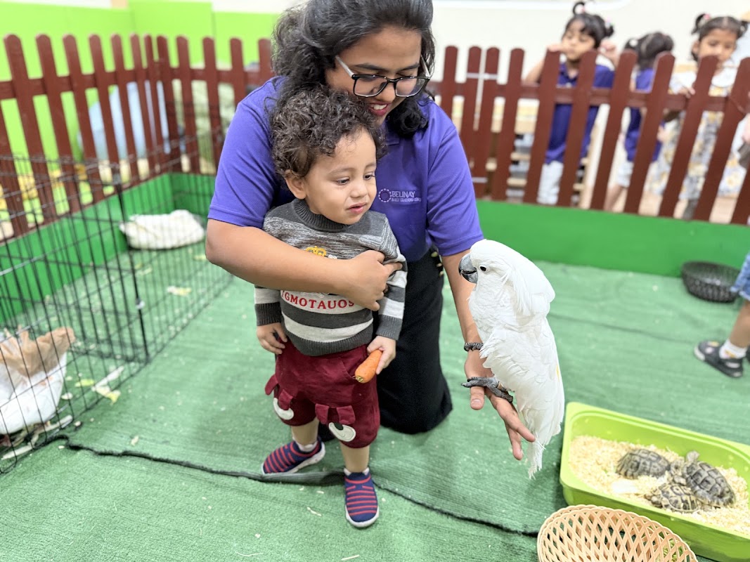 Belinay Early Learning Center L.L.C