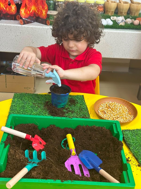 Maplewood Canadian International Nursery