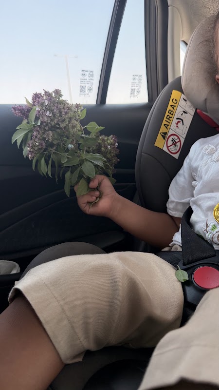 Ichiban Nurseries and Pre-Schools - Khalifa City A