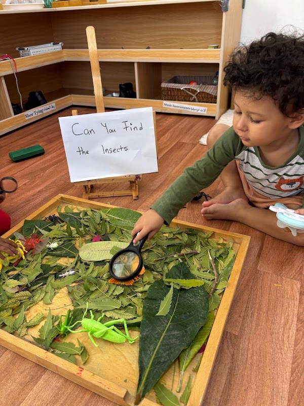 Sunny Meadows Montessori Nursery Khalifa Branch