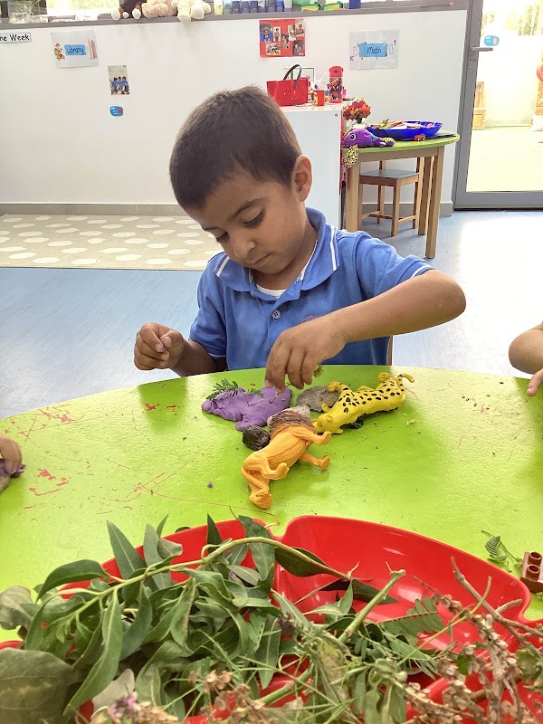 Teddy Bear Nursery - Al Qattara