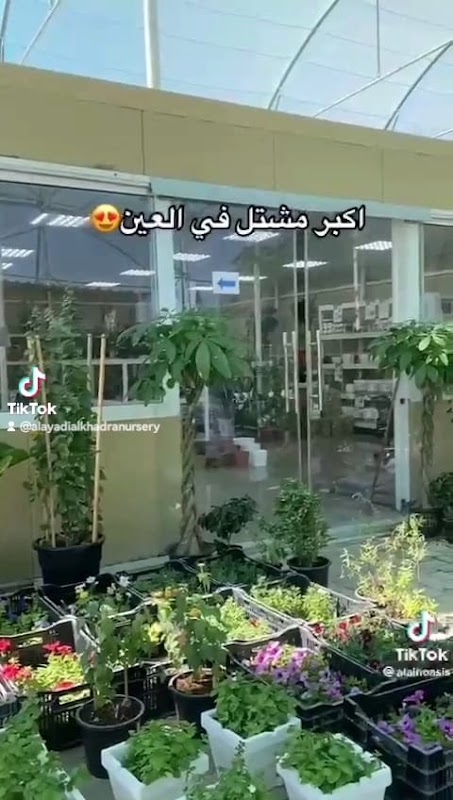 الحضانة الخضراء