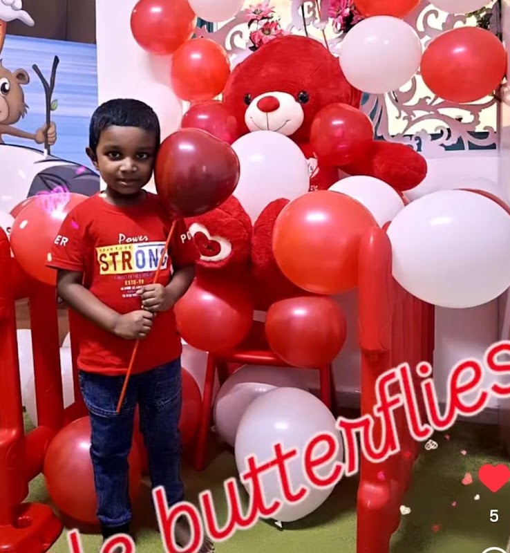 Little butterfly kids entertainment center (Baby sitting &Day care center )